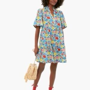 Tuckernuck Blue and Yellow Groovy Garden Crawford Dress